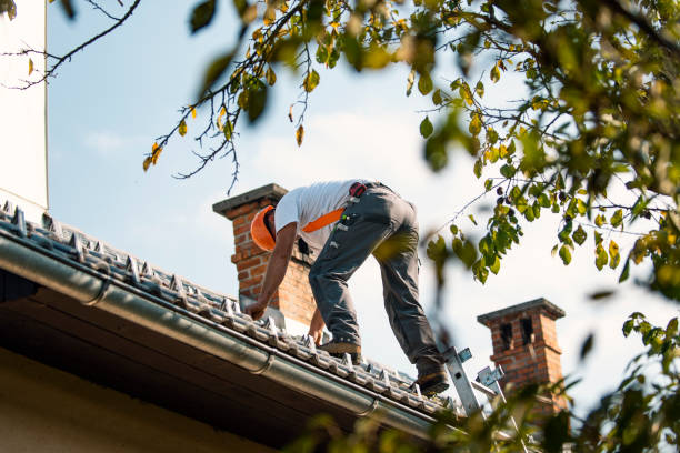 Best Roof Maintenance Services  in Powell, WY