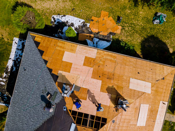 Best Roof Gutter Cleaning  in Powell, WY