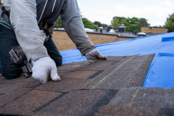 Best Roof Restoration Services  in Powell, WY