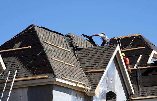 Best Storm Damage Roof Repair  in Powell, WY