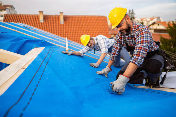 Best Residential Roofing Contractor  in Powell, WY