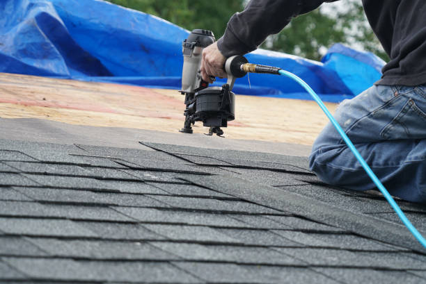 Best Local Roofing Companies  in Powell, WY