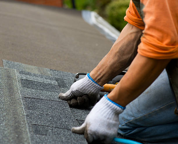 Best Affordable Roofing Company  in Powell, WY