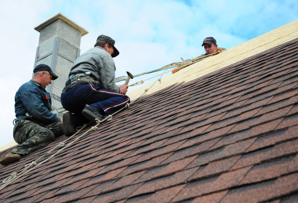 Roof Waterproofing Services in Powell, WY