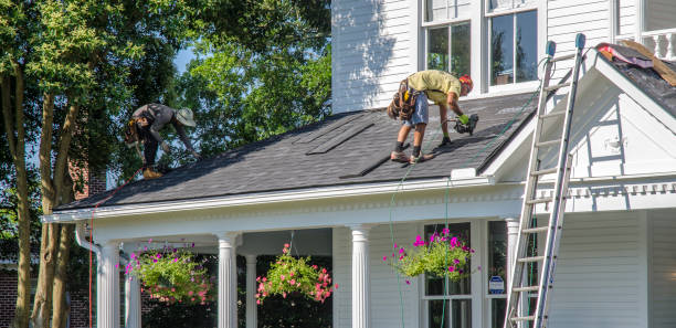 Best Roof Replacement Cost  in Powell, WY