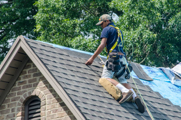 Best New Roof Installation  in Powell, WY